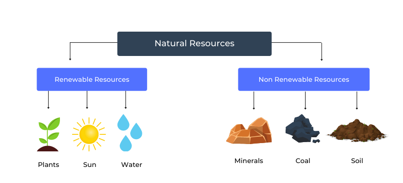 Natural Resources and Types of Natural Resources 