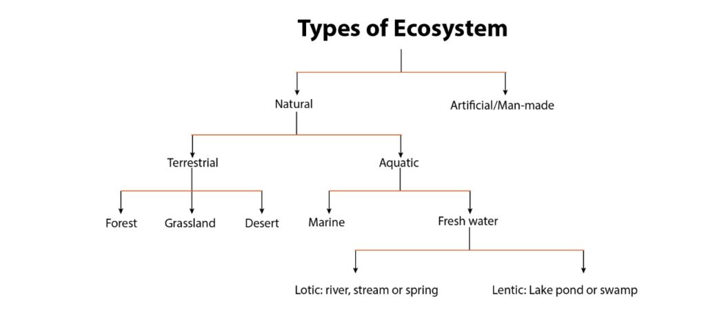 Types of natural. Types of ecosystems. Ecosystem classification. Ecosystem natural. Terrestrial ecosystems.